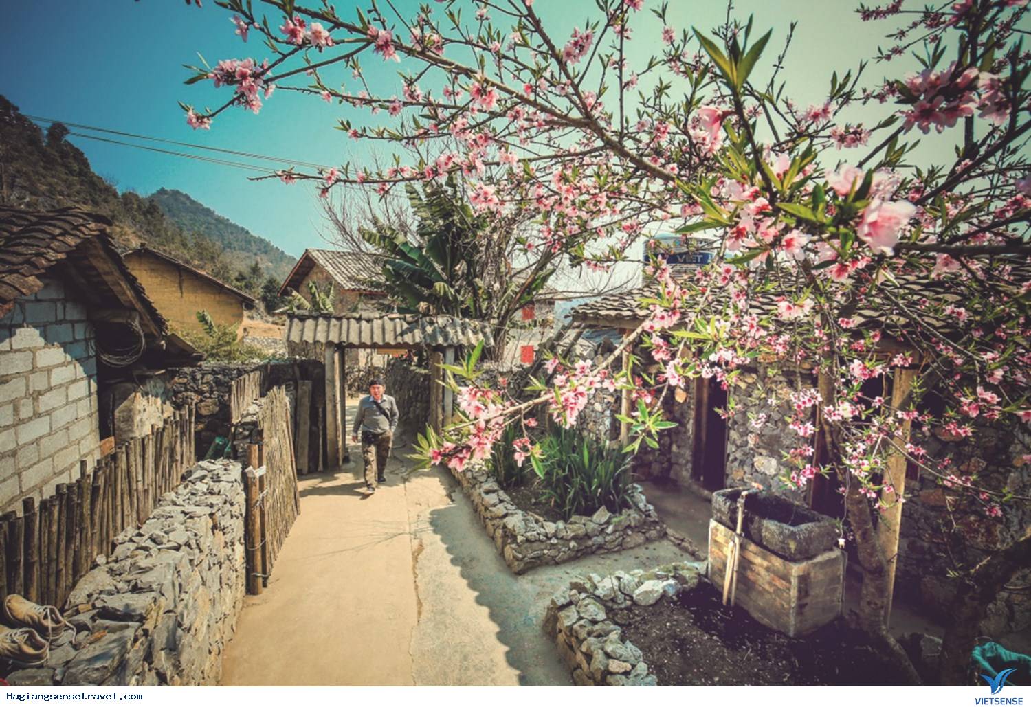 Lô Lô Homestay Lô Lô Homestay