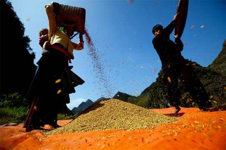 Hà Giang Huyền Bí Trên The New York Times - Ảnh 7