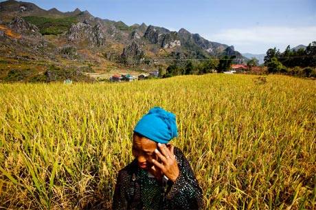 Hà Giang Huyền Bí Trên The New York Times - Ảnh 8