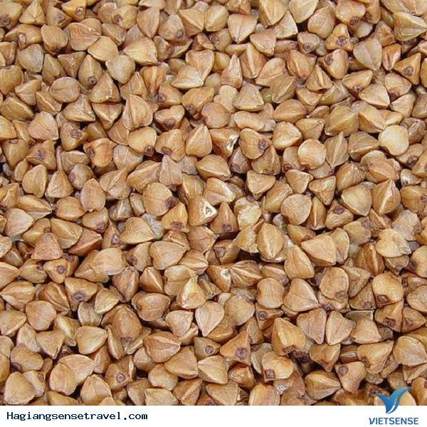 Hà Giang: “quyến rũ” trong sắc tím hoa tam giác mạch. - Ảnh 4 Hà Giang: “quyến rũ” trong sắc tím hoa tam giác mạch. - Ảnh 4