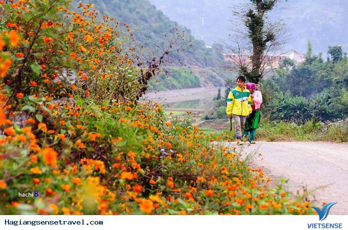 Hà Giang Tháng 10 - Thời Điểm Cho Hành Trình Trải Nghiệm - Ảnh 3
