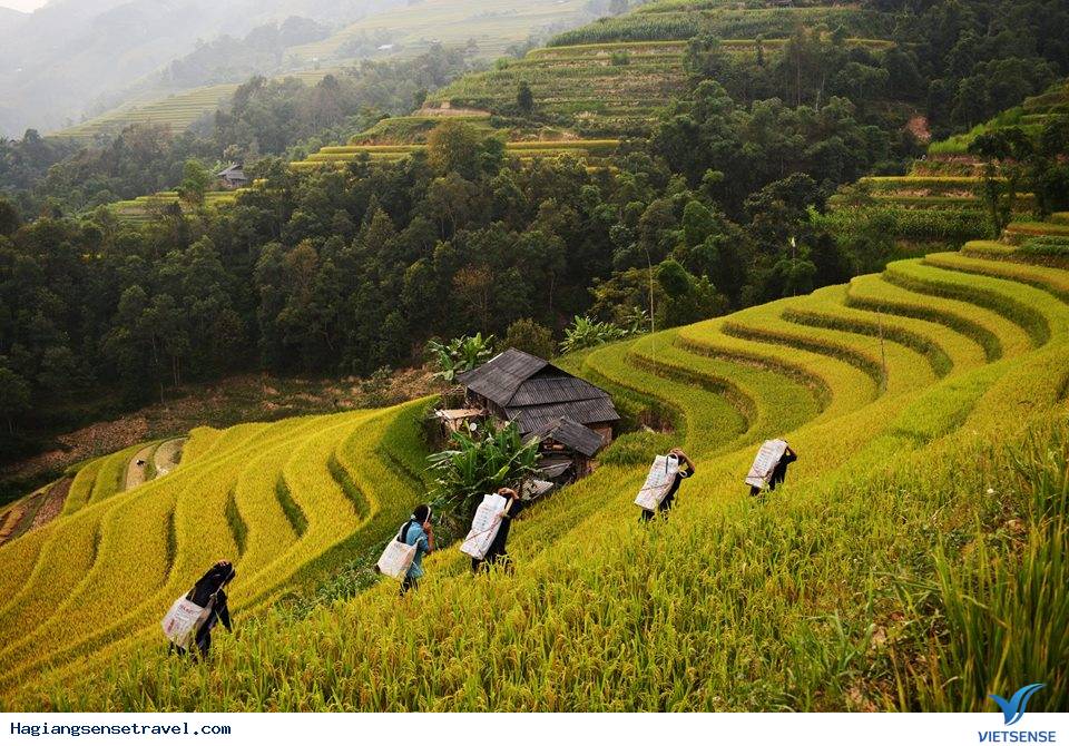 Hà Giang Tháng 10 - Thời Điểm Cho Hành Trình Trải Nghiệm - Ảnh 1