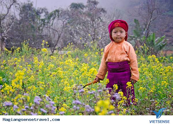 Hà Giang: Xuân Về Trong Ánh Mắt Trẻ Thơ - Ảnh 13