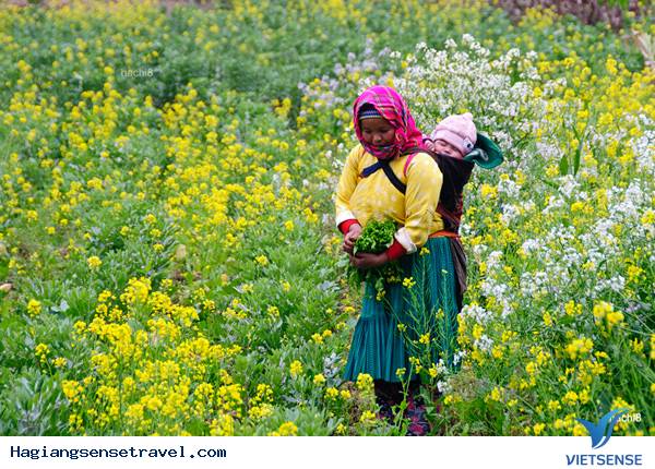 Hà Giang: Xuân Về Trong Ánh Mắt Trẻ Thơ - Ảnh 14