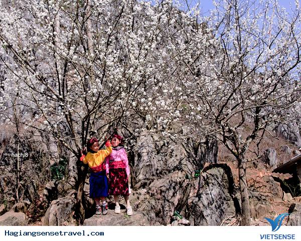 Hà Giang: Xuân Về Trong Ánh Mắt Trẻ Thơ - Ảnh 10
