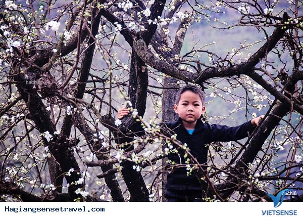 Hà Giang: Xuân Về Trong Ánh Mắt Trẻ Thơ - Ảnh 5