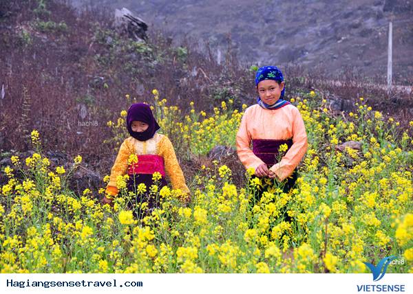 Hà Giang: Xuân Về Trong Ánh Mắt Trẻ Thơ - Ảnh 2