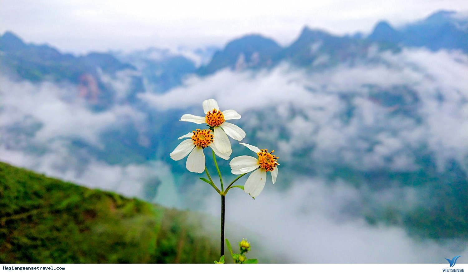 Hành Trình Đông Bắc Và Những Cung Đàn Diễm Lệ - Ảnh 3 Hành Trình Đông Bắc Và Những Cung Đàn Diễm Lệ - Ảnh 3