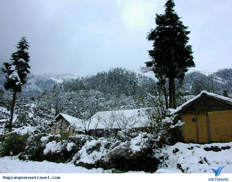 Hé Lộ Sự Thật Về Hà Giang Có Tuyệt Vời Như Trong Tưởng Tượng (P2) - Ảnh 4