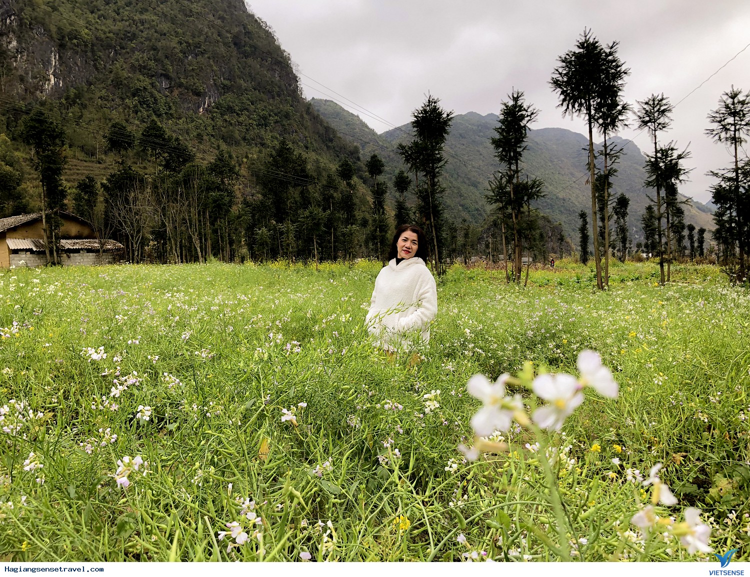 Hình Ảnh Đoàn Khách Hà Giang Cùng Vietsense Ngày 27-29/1 - Ảnh 14 Hình Ảnh Đoàn Khách Hà Giang Cùng Vietsense Ngày 27-29/1 - Ảnh 14