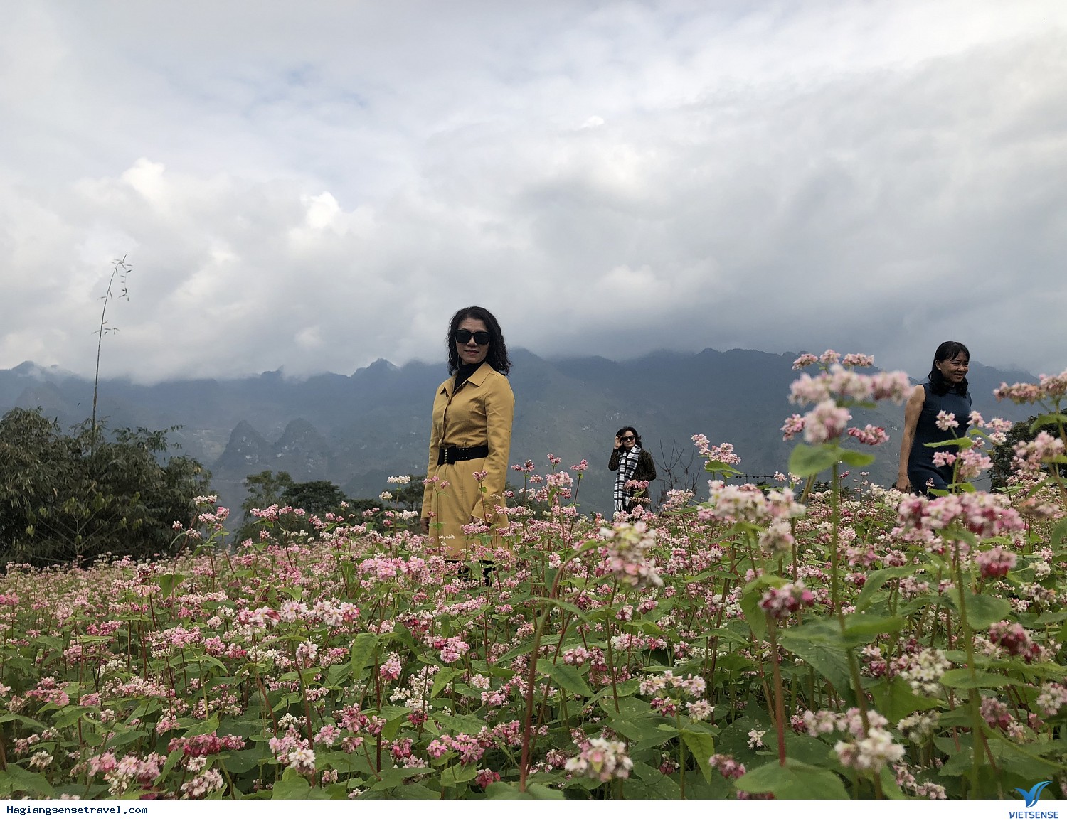 Hình Ảnh Đoàn Khách Hà Giang Cùng Vietsense Ngày 27-29/1 - Ảnh 16 Hình Ảnh Đoàn Khách Hà Giang Cùng Vietsense Ngày 27-29/1 - Ảnh 16