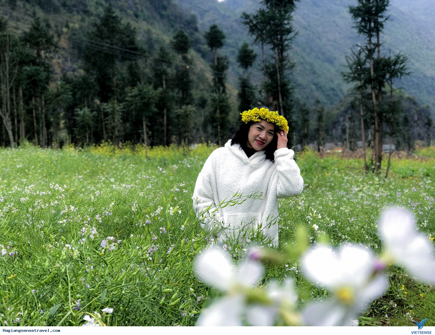 Hình Ảnh Đoàn Khách Hà Giang Cùng Vietsense Ngày 27-29/1 - Ảnh 13 Hình Ảnh Đoàn Khách Hà Giang Cùng Vietsense Ngày 27-29/1 - Ảnh 13