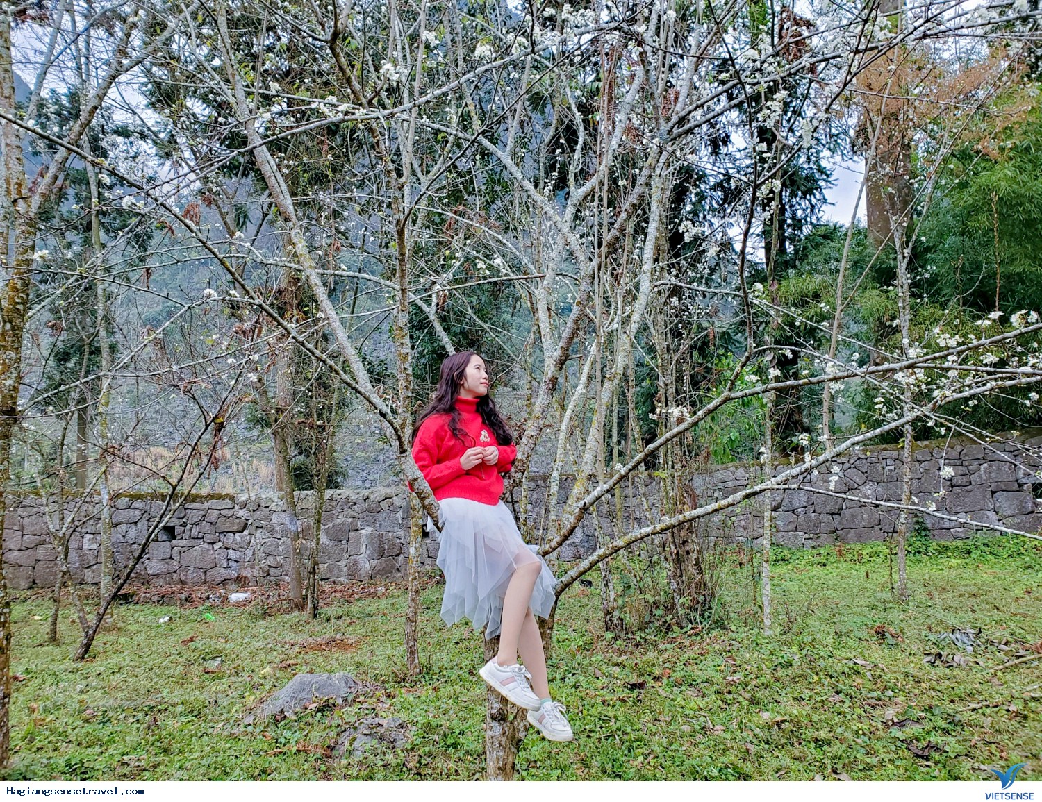 Hình Ảnh Đoàn Khách Hà Giang Cùng Vietsense Ngày 27-29/1 - Ảnh 33 Hình Ảnh Đoàn Khách Hà Giang Cùng Vietsense Ngày 27-29/1 - Ảnh 33