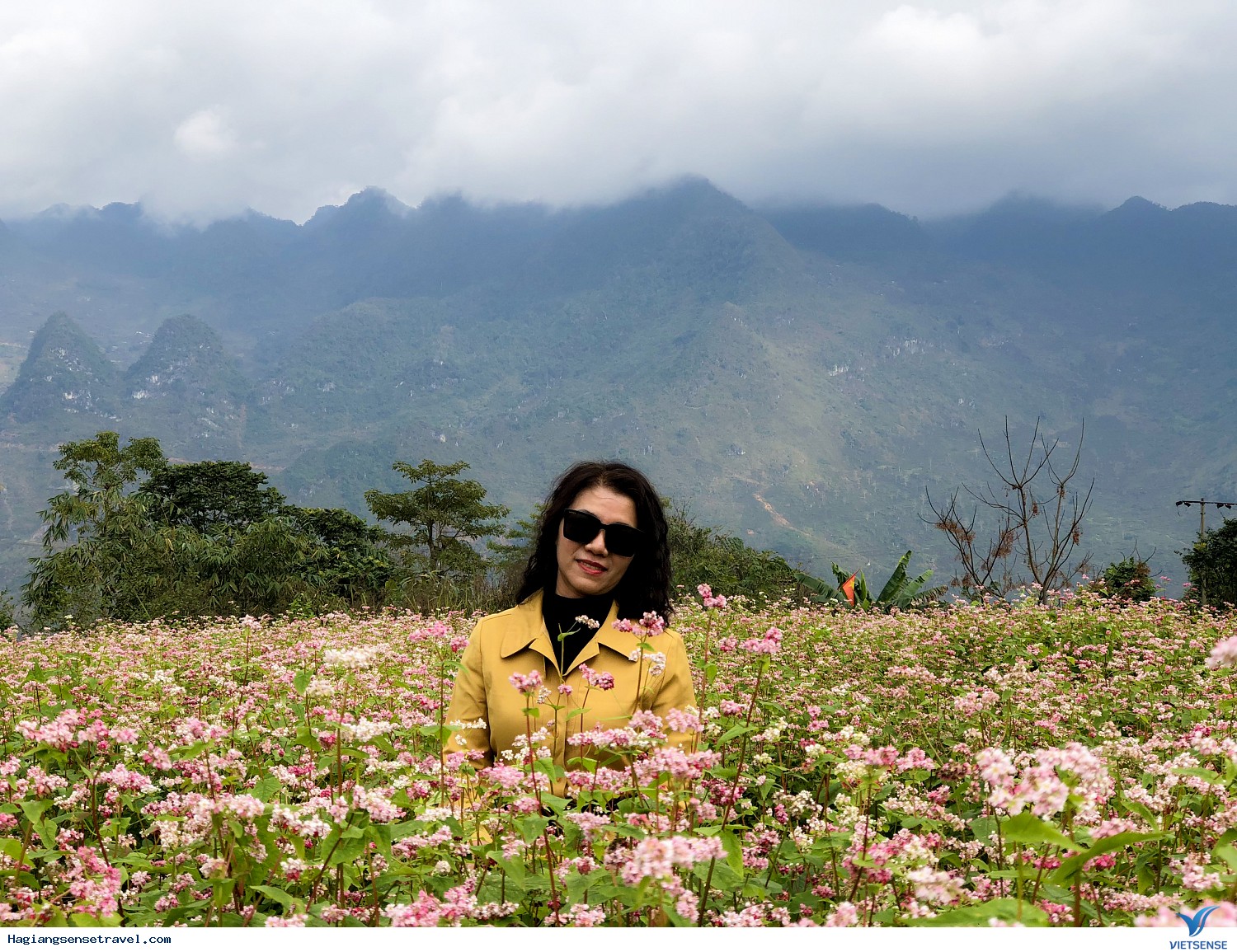 Hình Ảnh Đoàn Khách Hà Giang Cùng Vietsense Ngày 27-29/1 - Ảnh 17 Hình Ảnh Đoàn Khách Hà Giang Cùng Vietsense Ngày 27-29/1 - Ảnh 17