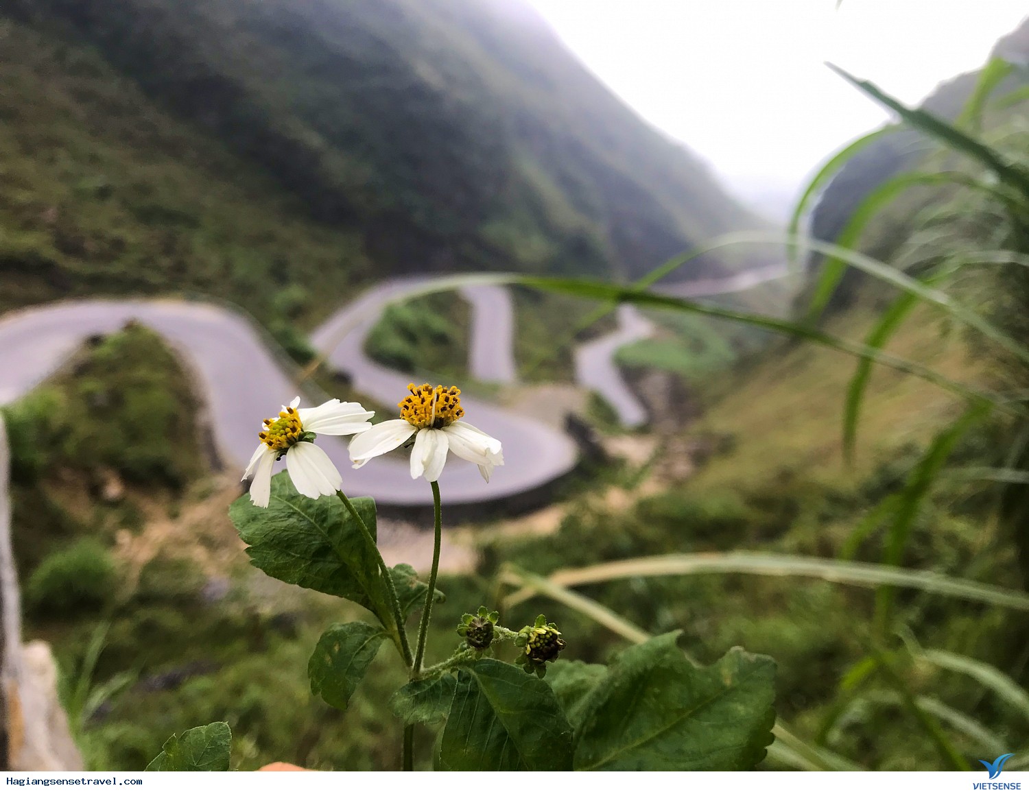 Hình Ảnh Đoàn Khách Hà Giang Mùa Tam Giác Mạch 09 - 11/11 - Ảnh 6