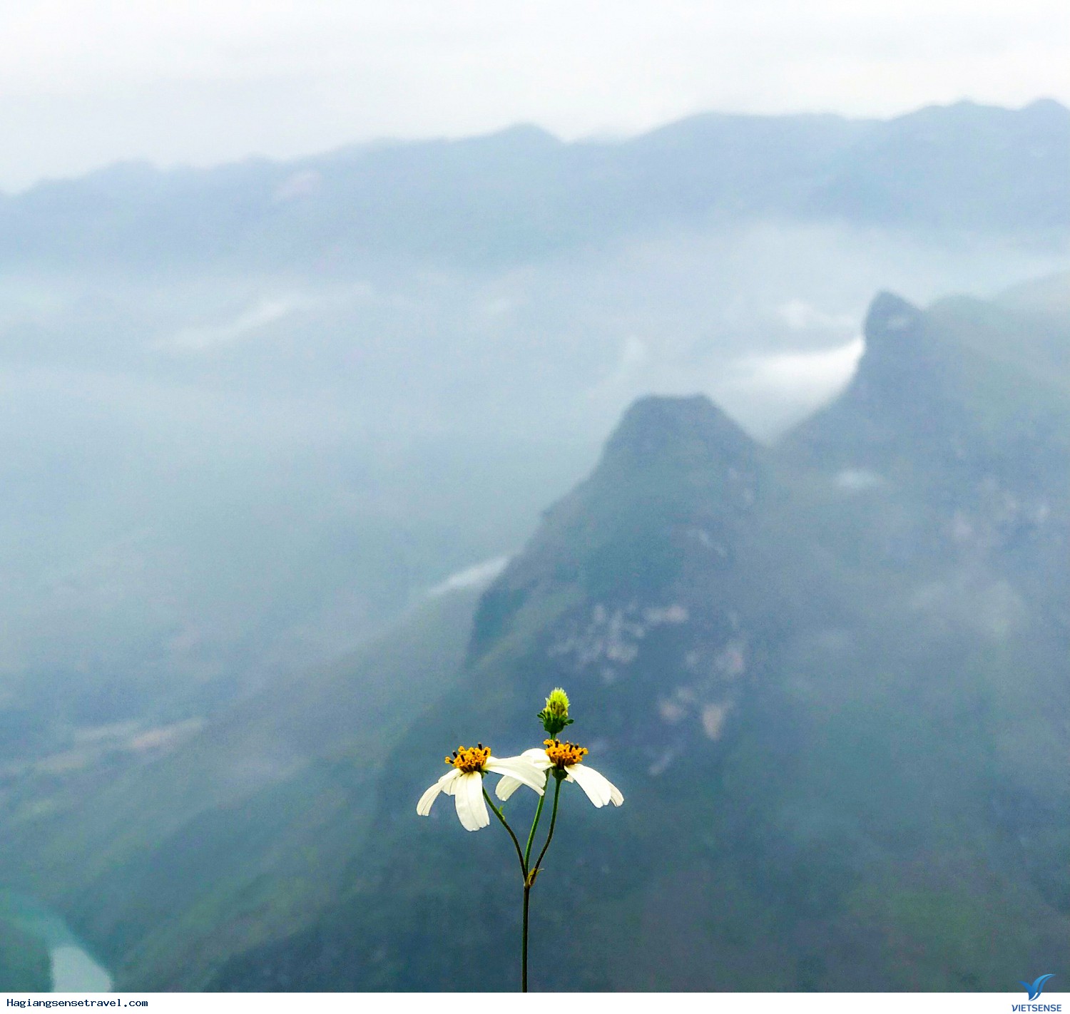 Hình Ảnh Đoàn Khách Hà Giang Mùa Tam Giác Mạch 09 - 11/11 - Ảnh 5