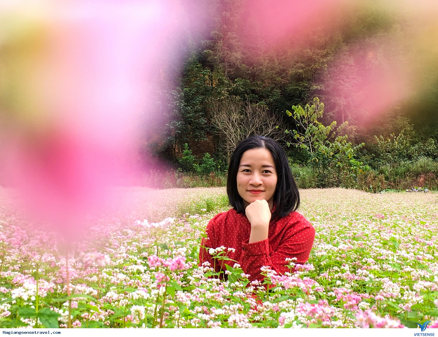 Hình Ảnh Đoàn Hà Giang - Đồng Văn - Lũng Cú Khởi Hành 16 - 18/11 - Ảnh 7 Hình Ảnh Đoàn Hà Giang - Đồng Văn - Lũng Cú Khởi Hành 16 - 18/11 - Ảnh 7