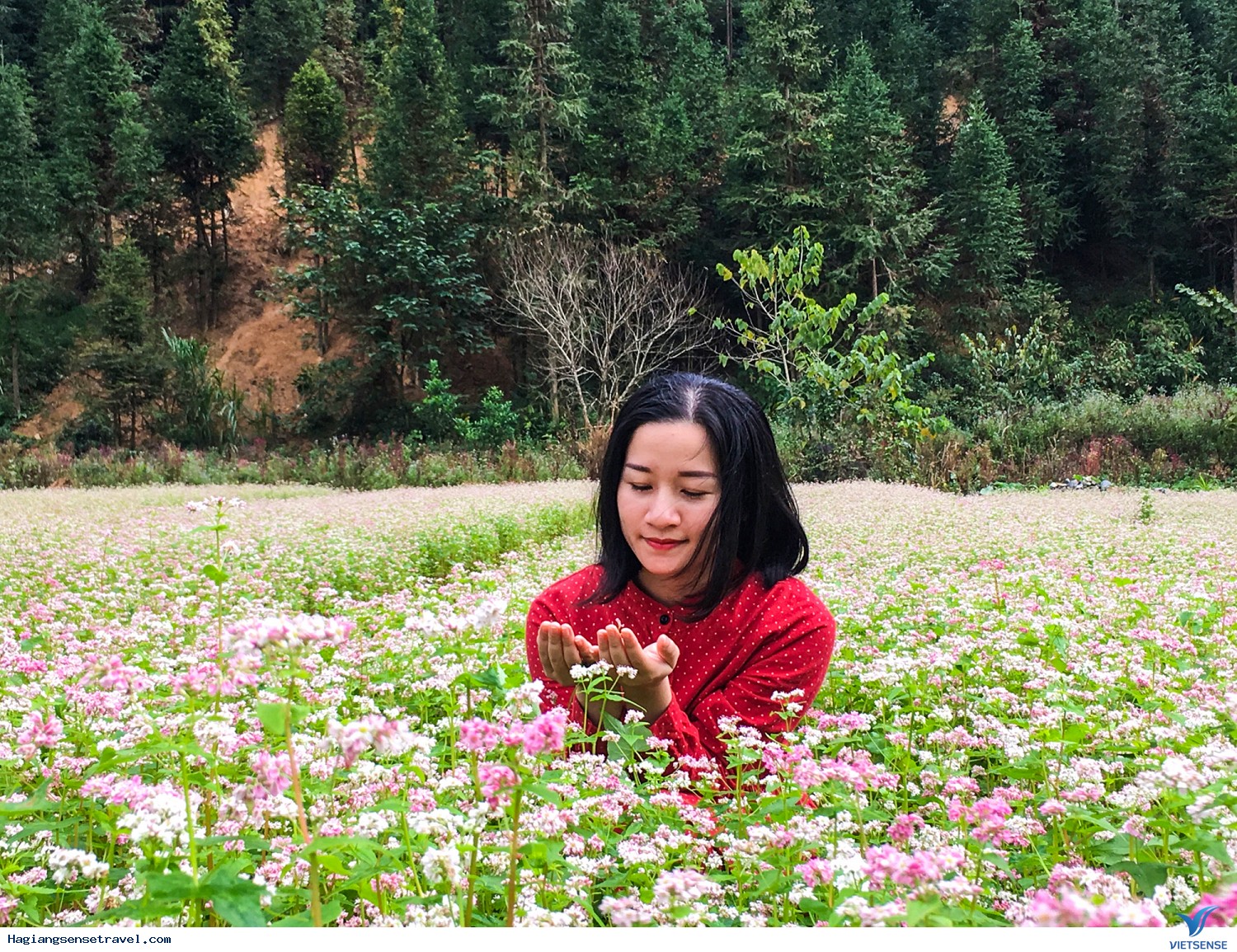 Hình Ảnh Đoàn Hà Giang - Đồng Văn - Lũng Cú Khởi Hành 16 - 18/11 - Ảnh 11 Hình Ảnh Đoàn Hà Giang - Đồng Văn - Lũng Cú Khởi Hành 16 - 18/11 - Ảnh 11