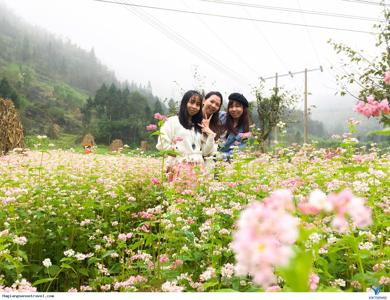 Hình Ảnh Đoàn Khách Hà Giang - Đồng Văn - Lũng Cú Ngày 12 - 14/10 - Ảnh 10