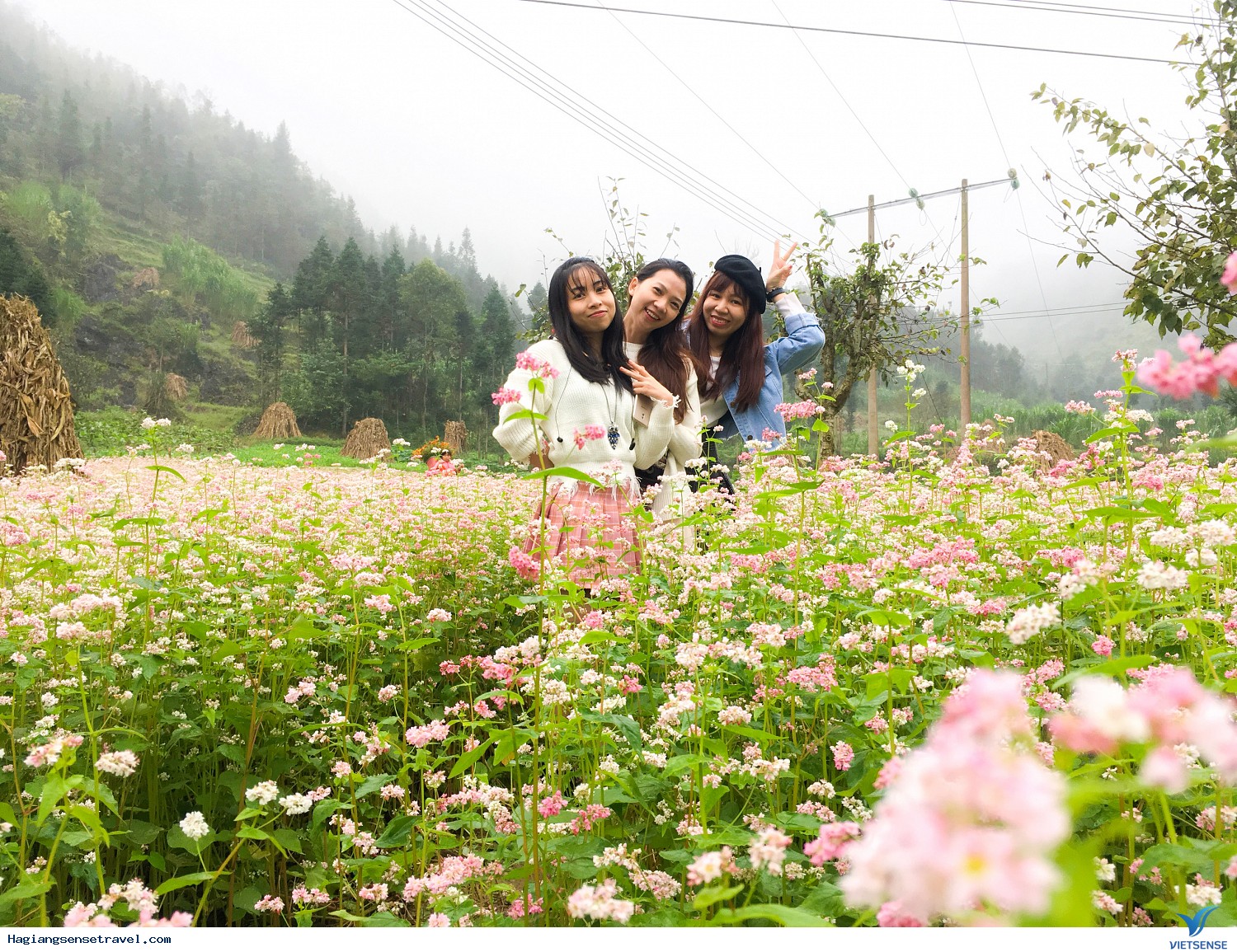 Hình Ảnh Đoàn Khách Hà Giang - Đồng Văn - Lũng Cú Ngày 12 - 14/10 - Ảnh 9