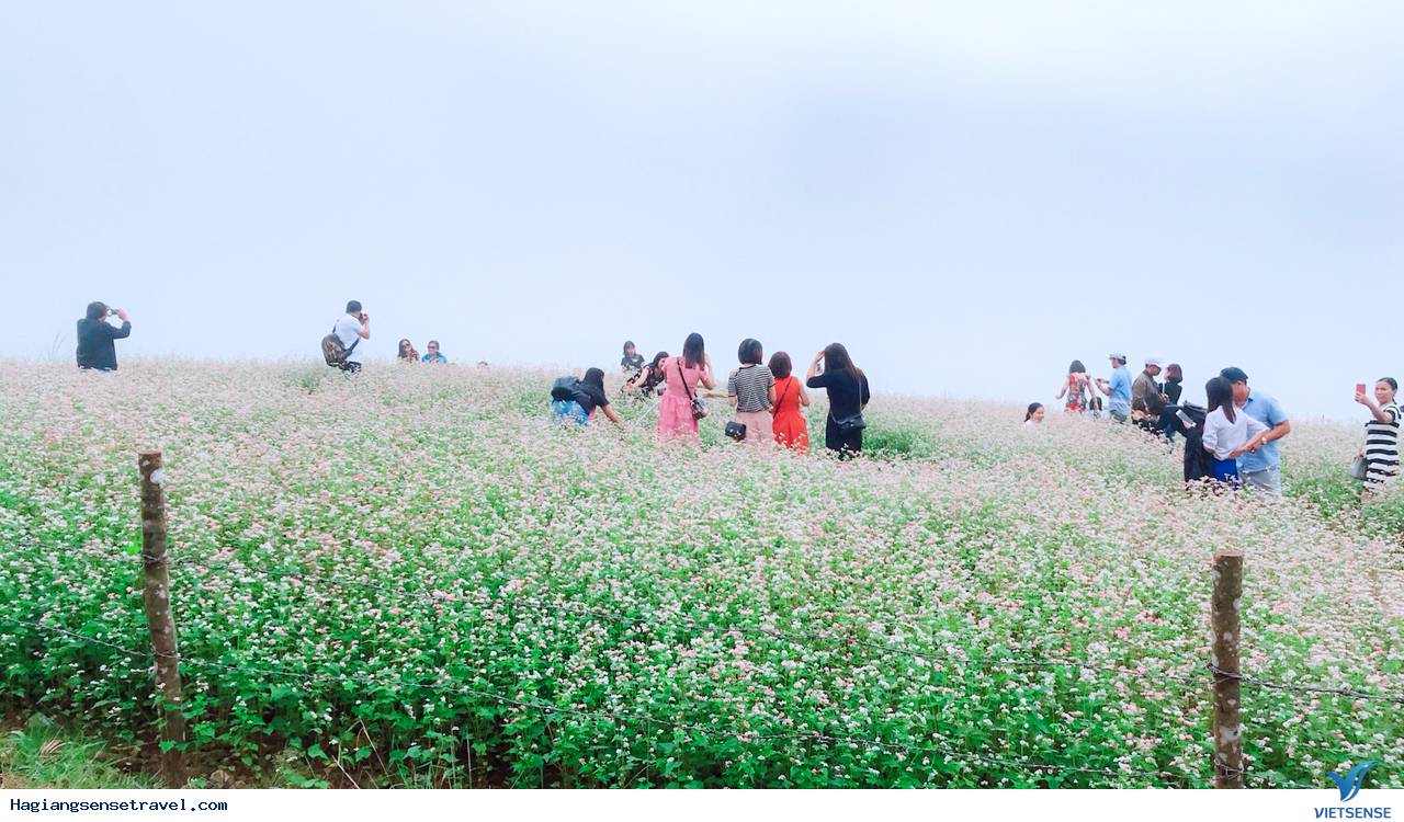 Hình Ảnh Đoàn Khách Hà Giang - Đồng Văn - Lũng Cú Ngày 5 - 7/10 - Ảnh 6