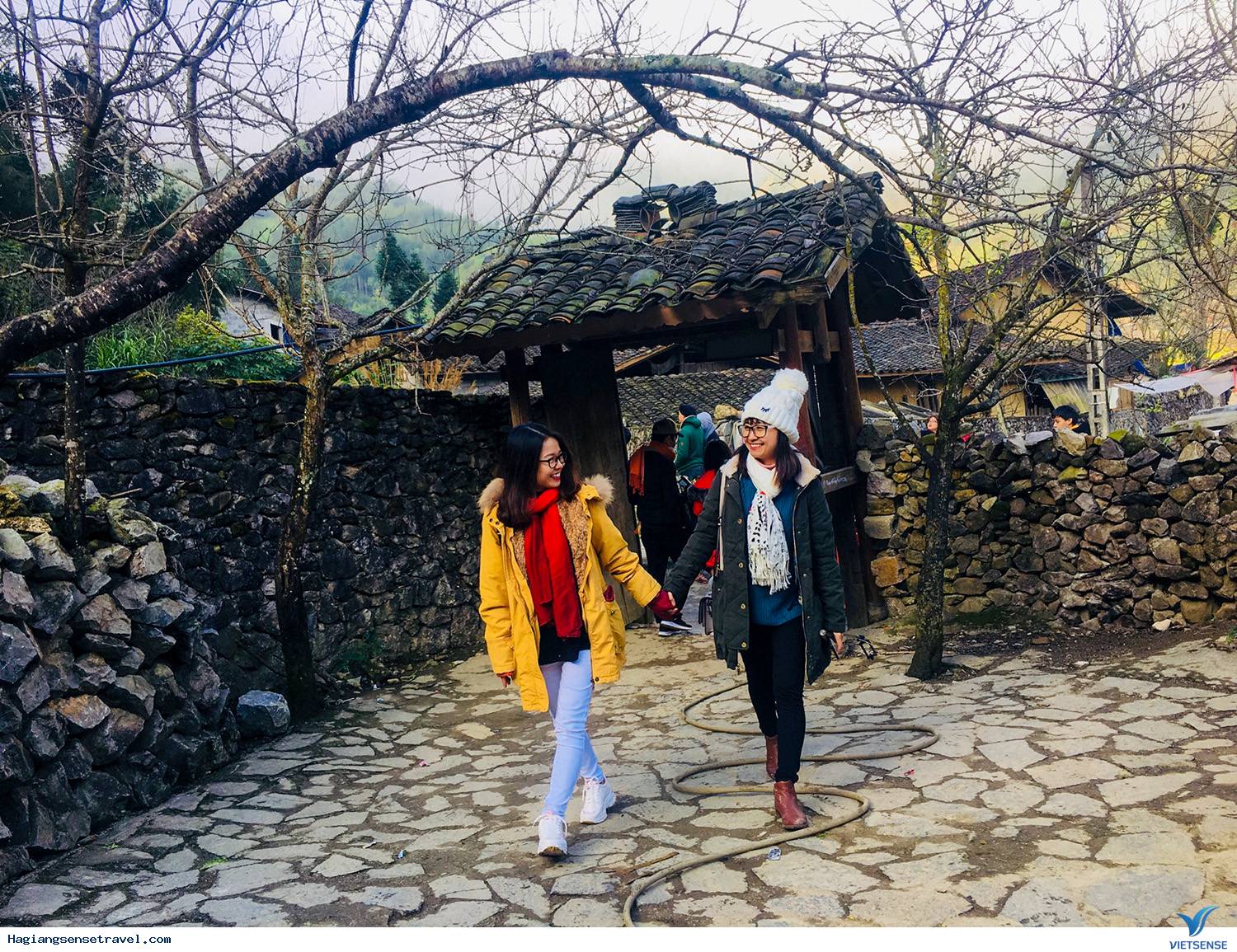 Hình Ảnh Đoàn Hà Giang Dịp Tết Dương Lịch 30/12- 1/1 - Ảnh 4 Hình Ảnh Đoàn Hà Giang Dịp Tết Dương Lịch 30/12- 1/1 - Ảnh 4