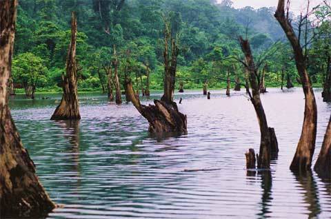 Hồ Noong - Chốn Bồng Lai Ở Hà Giang - Ảnh 5 Hồ Noong - Chốn Bồng Lai Ở Hà Giang - Ảnh 5