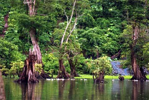 Hồ Noong - Chốn Bồng Lai Ở Hà Giang - Ảnh 11 Hồ Noong - Chốn Bồng Lai Ở Hà Giang - Ảnh 11