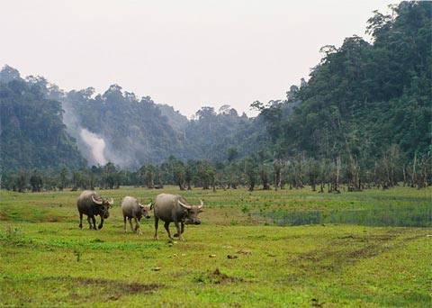 Hồ Noong - Chốn Bồng Lai Ở Hà Giang - Ảnh 9 Hồ Noong - Chốn Bồng Lai Ở Hà Giang - Ảnh 9