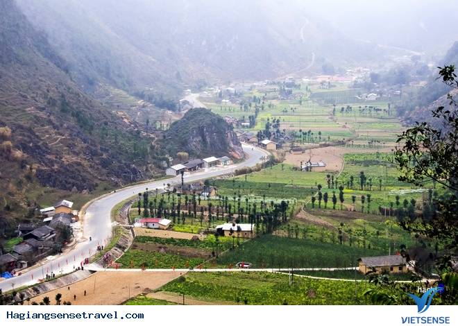 Hoa Nở Rực Trên Miền Đá Hà Giang Những Ngày Xuân Về - Ảnh 10 Hoa Nở Rực Trên Miền Đá Hà Giang Những Ngày Xuân Về - Ảnh 10