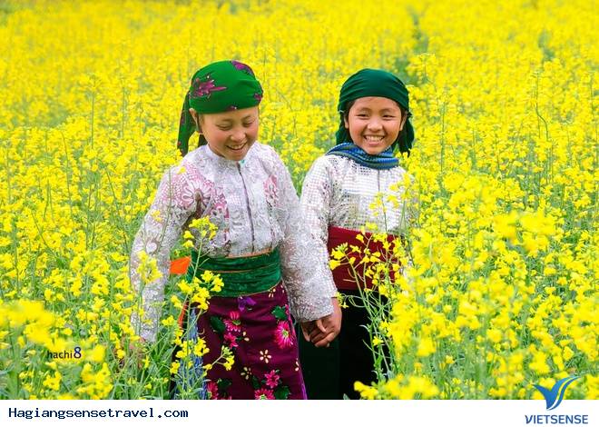 Hoa Nở Rực Trên Miền Đá Hà Giang Những Ngày Xuân Về - Ảnh 8 Hoa Nở Rực Trên Miền Đá Hà Giang Những Ngày Xuân Về - Ảnh 8