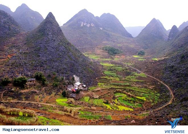 Hoa Nở Rực Trên Miền Đá Hà Giang Những Ngày Xuân Về - Ảnh 12 Hoa Nở Rực Trên Miền Đá Hà Giang Những Ngày Xuân Về - Ảnh 12