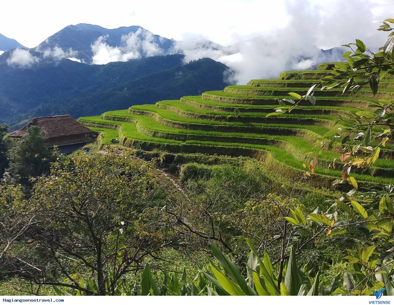HOÀNG SU PHÌ BUNGALOW - HOMESTAY NẬM HỒNG