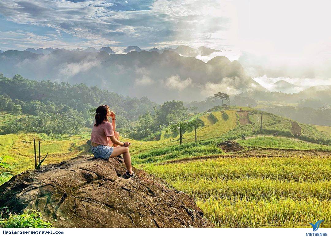 Hoàng Su Phì - Mùa Lúa Chín Nước Đổ - Ảnh 3 Hoàng Su Phì - Mùa Lúa Chín Nước Đổ - Ảnh 3