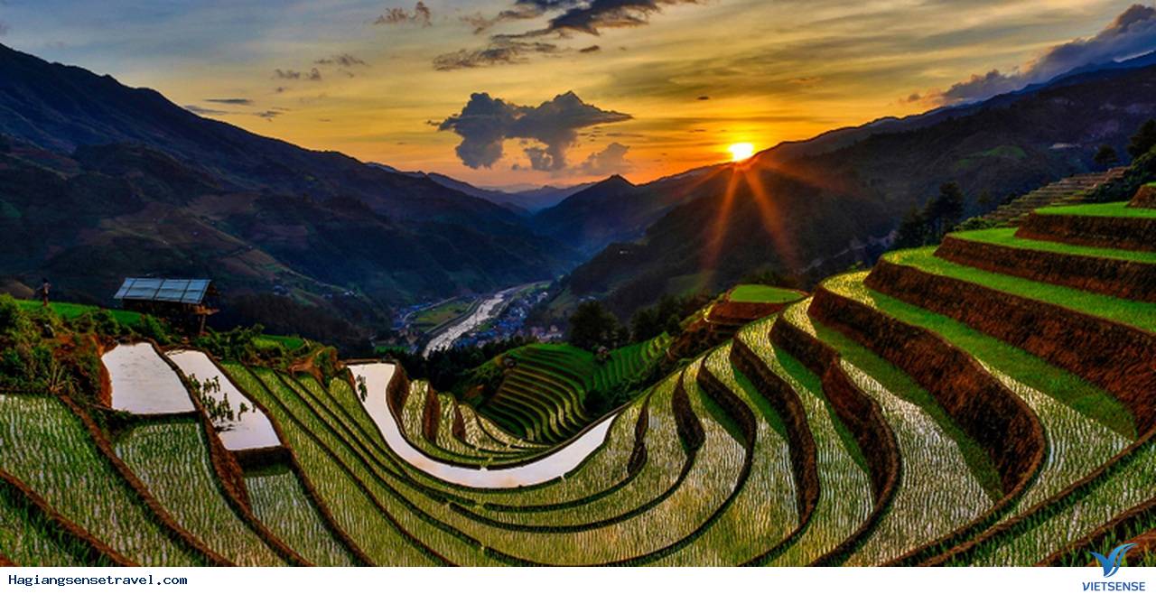 Hoàng Su Phì - Mùa Lúa Chín Nước Đổ - Ảnh 2 Hoàng Su Phì - Mùa Lúa Chín Nước Đổ - Ảnh 2