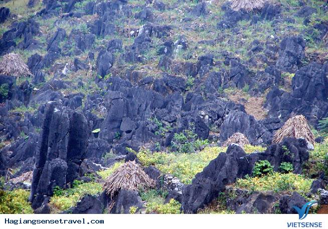 Khám Phá Bãi Đá Mặt Trăng Trên Cao Nguyên Đá Hà Giang - Ảnh 1