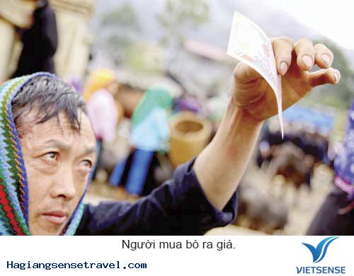 Khám Phá Phiên Chợ Bò Mèo Vạc - Hà Giang - Ảnh 7 Khám Phá Phiên Chợ Bò Mèo Vạc - Hà Giang - Ảnh 7