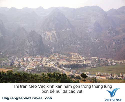 Khám Phá Phiên Chợ Bò Mèo Vạc - Hà Giang - Ảnh 1 Khám Phá Phiên Chợ Bò Mèo Vạc - Hà Giang - Ảnh 1