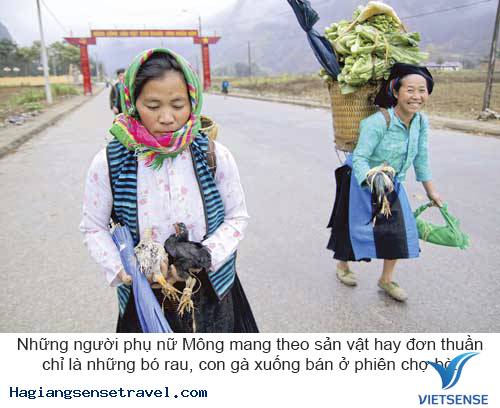 Khám Phá Phiên Chợ Bò Mèo Vạc - Hà Giang - Ảnh 6 Khám Phá Phiên Chợ Bò Mèo Vạc - Hà Giang - Ảnh 6