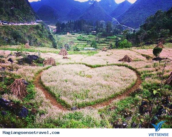 Khám Phá Vẻ Đẹp Hà Giang Trên Mạng Xã Hội Instagram - Ảnh 8 Khám Phá Vẻ Đẹp Hà Giang Trên Mạng Xã Hội Instagram - Ảnh 8