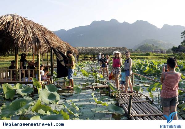 Khám phá vẻ đẹp Hồ Sen Hà Giang - Ảnh 2 Khám phá vẻ đẹp Hồ Sen Hà Giang - Ảnh 2