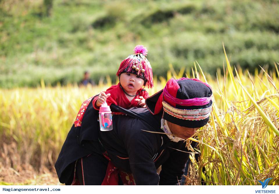 Khung Cảnh Ngày Xuân Bình Yên Chỉ Có Ở Hà Giang Ngày - Ảnh 6 Khung Cảnh Ngày Xuân Bình Yên Chỉ Có Ở Hà Giang Ngày - Ảnh 6