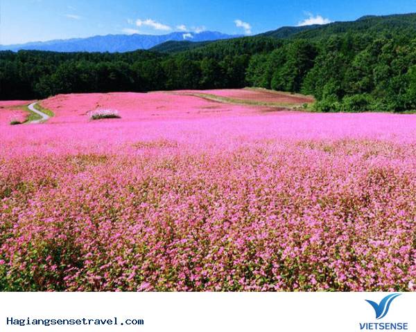 Kinh nghiệm trinh phục cổng trời Quản Bạ - Ảnh 5