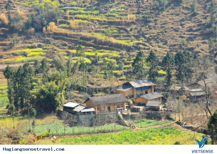 Các điểm tham quan nổi tiếng ở Hà Giang? - Ảnh 3 Các điểm tham quan nổi tiếng ở Hà Giang? - Ảnh 3