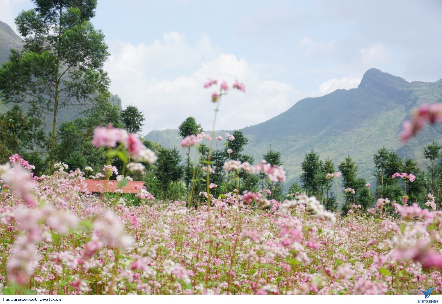 Các địa điểm thăm quan ở Hà Giang
