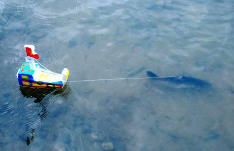 Lễ Hội Đua Cá Độc Đáo Ở Mậu Duệ - Hà Giang - Ảnh 2