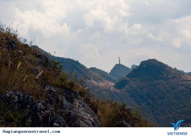 Lên Hà Giang Ngắm Cây Sa Mộc Giữa Cao Nguyên Đá Đồng Văn - Ảnh 2