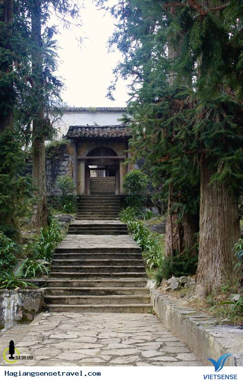 Lên Hà Giang Ngắm Cây Sa Mộc Giữa Cao Nguyên Đá Đồng Văn - Ảnh 7