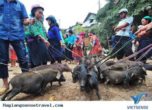 Lợn Cắp Nách - Thưởng Thức Đặc Sản Vùng Cao Hà Giang - Ảnh 2