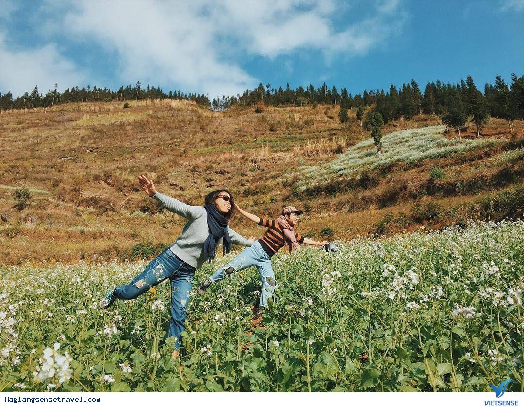 Mê mẩn với những cánh đồng hoa tam giác mạch tại Hà Giang - Ảnh 3